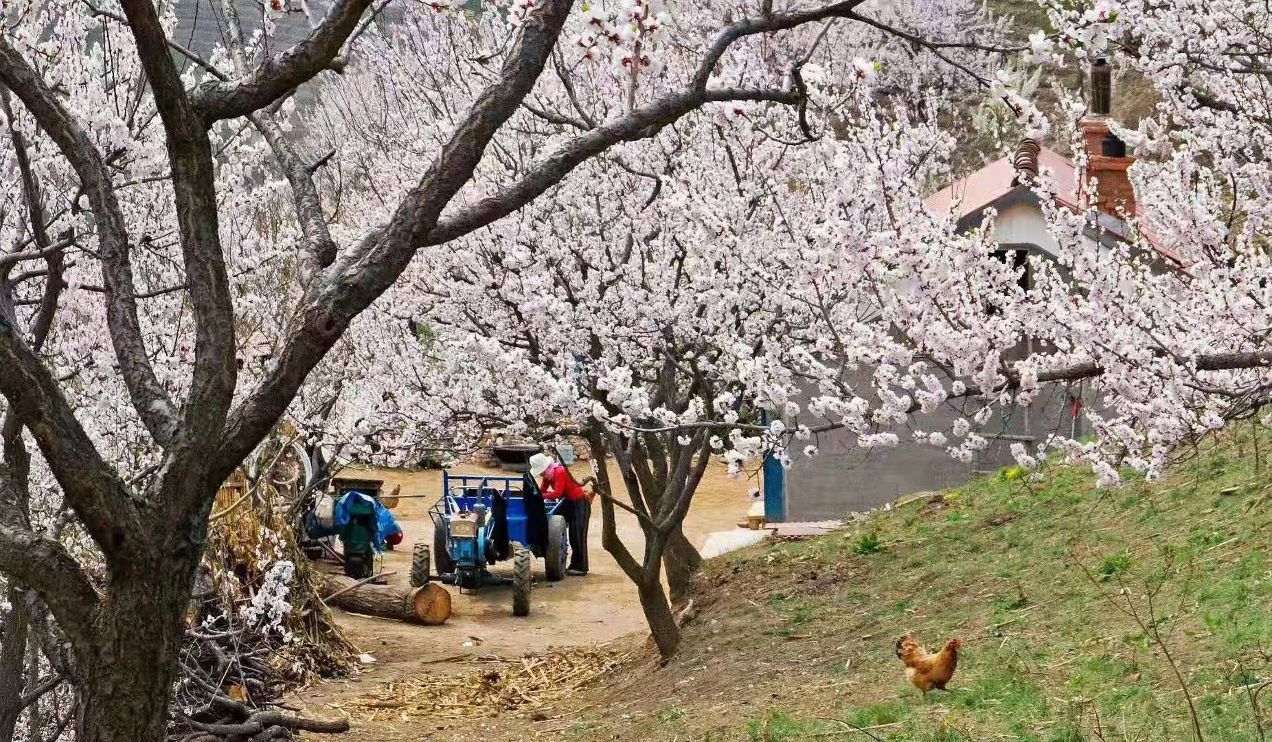 453a4ff3b177aad613f3c406ce5d6dd